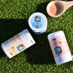 맛과 건강 모두 잡은 애견 간식이 대세…첨가물 뺀 수제 강아지 간식까지