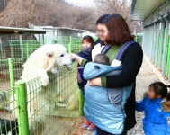대형견과 전원 힐링라이프 꿈꾼다면…대형견 분양, 프리미엄 아울렛에서
