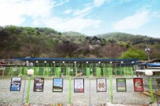 대형견 분양, 믿을 수 있는 프리미엄 아울렛 선정이 중요