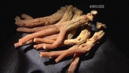 ‘홍삼 종주국’ 공인…한국 농약 기준 따라야