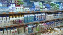 [생생경제] 매일유업도 내달 1일부터 우윳값 인상