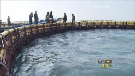 ‘양식산업’ 친환경 기술로 신성장 동력 각광