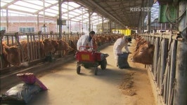 사료값 폭등…농가가 직접 제조 ‘일석이조’