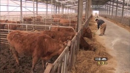 축산농가, 자연 순환 농업으로 ‘FTA 극복’