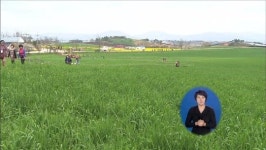 초록 물결 ‘넘실’ 청보리밭
