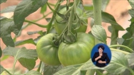 비료·기름 값 폭등에 농민 ‘울상’