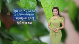 제주·전남 10~40㎜ 비…내일 아침 점차 그쳐