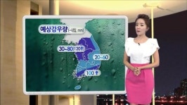 오늘 밤새 장맛비…중부지방 내일 밤까지 비