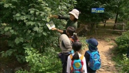 빌딩숲 아닌 ‘나무숲 유치원’가요!