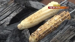 [활력충전] “쫄깃한 찰옥수수 맛보세요”