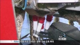 [생생경제] 젖소 초유, 당뇨병 개선 효과 입증