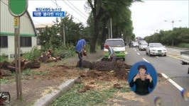 충북 내륙도 태풍 영향권…학교 임시 휴업
