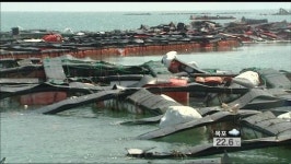 잇단 태풍에 폐허가 된 양식장…복구 ‘막막’