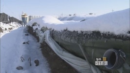 양계장 붕괴·닭 폐사…폭설·한파 피해 속출