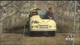 봄 기운 ‘성큼’…농사 준비 손길 ‘분주’