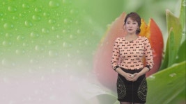 비 점차 그쳐…강한 바람