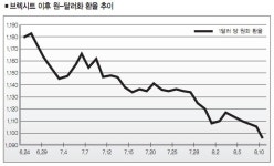 오히려 원-달러 환율 내린 브렉시트