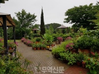 팜카밀레, 충남 첫 ‘웰니스 관광 시설’ 됐다