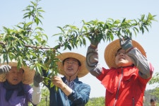 이만희 의원, 황교안 당 대표와 영천에서 농촌봉사활동 및 농업인 간담회 개최