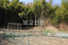 구산선문 봉림사지 보존에 먹구름