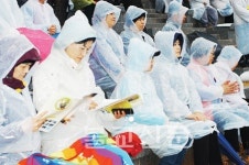 꽃비 오는 날, 남도 명창소리에 어깨도 들썩