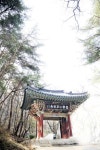 일주문