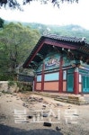 안양 염불사 태풍으로 보리수ㆍ기와 훼손