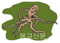 [2013 신춘문예 당선작] 소설/ 엄정숙 뒤집어진 거북들의 시간