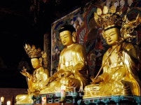 개암사 목조석가삼존불좌상 문화재 지정 추진