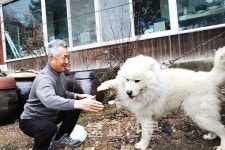 사리탑 세워지던 날 말랐던 샘물이 솟아오르다