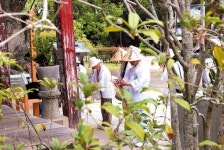 부처님 향해 한걸음 걸으며 지친마음 치유