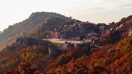 국민타자 이승엽 비슬산 대견사 참배