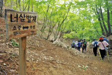 금강송림(金剛松林) 지나 부처님 그림자(佛影寺) 따라가다
