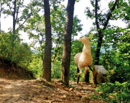 자연과 환경 담은 예술의 향연 백락사