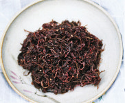 [맛있는 절밥] 장흥 보림사 꼬시래기 무침