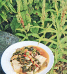 [맛있는 절밥]  영월 만경선사 곤드레두부찜