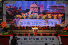 풍등과 함께 빛으로 장엄한 밤하늘을 시민과 즐겨