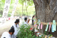 금산세계인삼엑스포의 성공 기원