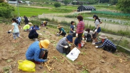 아이들과 어르신 함께 ‘농촌 체험’