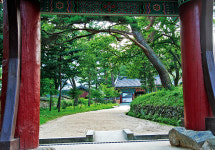 [여태동 기자 사찰숲길을 거닐다]  직지사 직지숲길