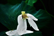 명상과 사진이 만나면…