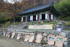 ‘은행나무 멋있는 날’ 옥련암 가을 축제