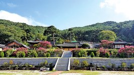[인물로 읽는 한국禪사상사]   벽송 지엄선사