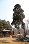 [발길 머문 그 곳]  파주 임진각·보광사
