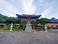 하늘 금빛 고기가 佛法을 높이 세웠다