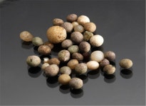 본래 자리로 돌아오는 부처님 사리