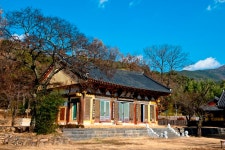 칠곡 송림사 대웅전‧대구 동화사 극락전 및 수마제전 보물 지정