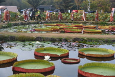 [삼보사찰 천리순례 7일차] 조금만 더 가자…       응원과 격려 속 최장거리 완보