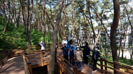 홍천군장애인복지관, 거북이 걷기대회