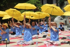 치유와 화합으로 하나 되는 축제